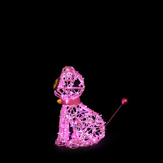 Voodoo Cat