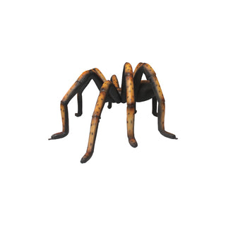 Recluse Spider Black