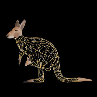 Kangaroo MOM AND Baby