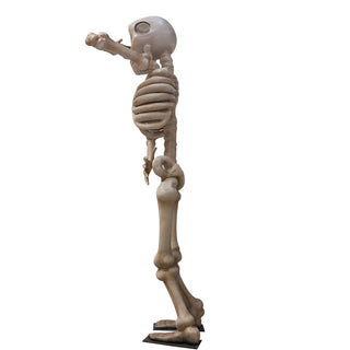 Skeleton 3.5m "Shy"