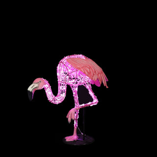 Flamingio Standing On One Leg
