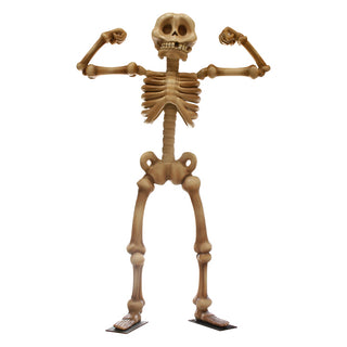 Skeleton 3.5m "Flex"