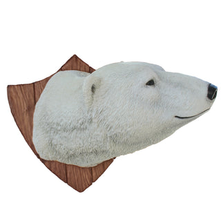 Polar bear Trophy Head