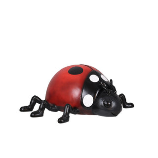 Lady bug
