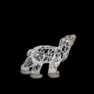 Polar Bear Baby, Walking