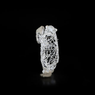 Polar Bear Baby, Standing