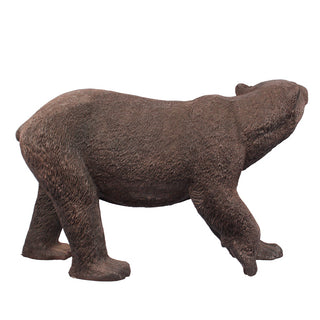 Grizzly Bear, Walking