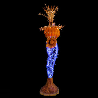 Scarecrow 1
