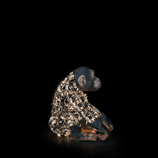 Monkey Baby