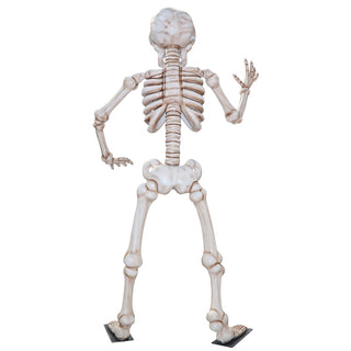 Waving Skeleton