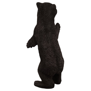 American Bear Baby (black)
