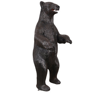 American Black Bear, Standing