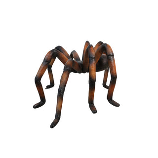 Recluse Spider Brown