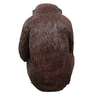 Sitting Chimpanzee
