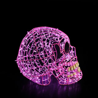 Skull Pink